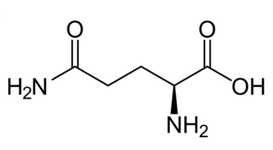 Glutamin Nedir Ne E Yarar Glutamin Eren Besinler Nelerdir