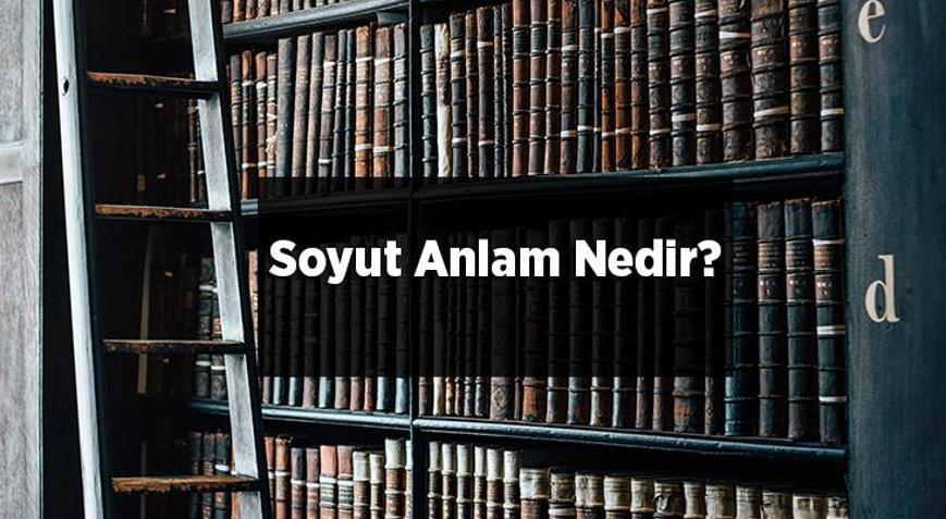 Soyut Anlam Nedir K Saca Soyut Anlam C Mle Rnekleri Nelerdir En