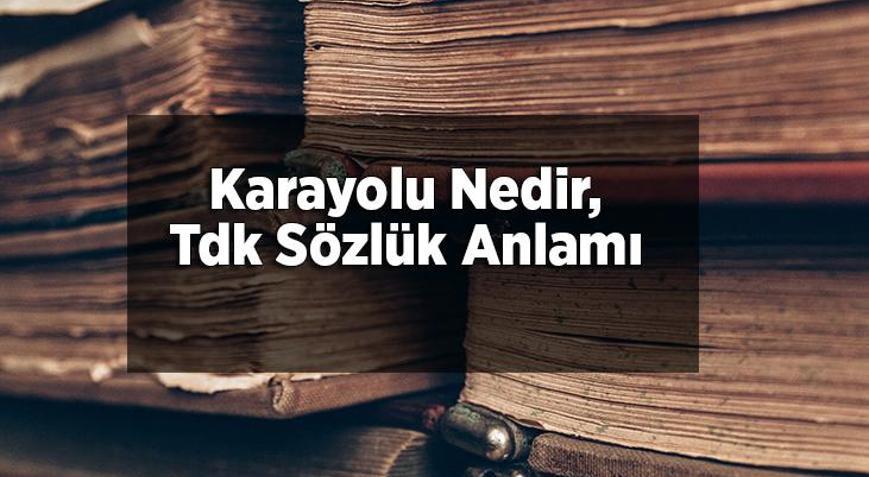 Karayolu Nedir Tdk Sözlük Anlamı Ne Demek Karayolu Tanımı Nasıl Yapılır