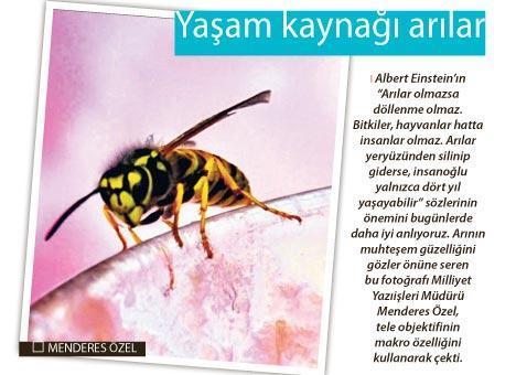 Şimdiki zamanın hikayesi