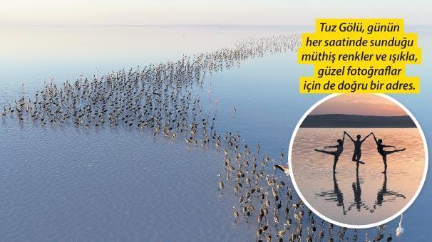 Flamingo şöleni