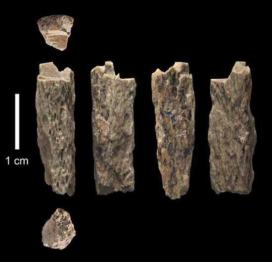 Anne tarafı Neandertal olan insan melezi bulundu
