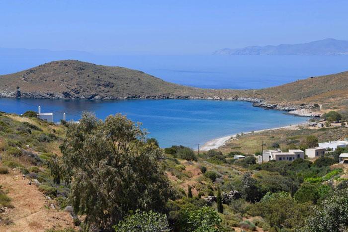 Siros adasında kedi bakıcılığı ilanına 200 başvuru