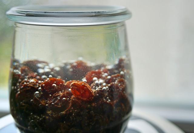 Kuru erik