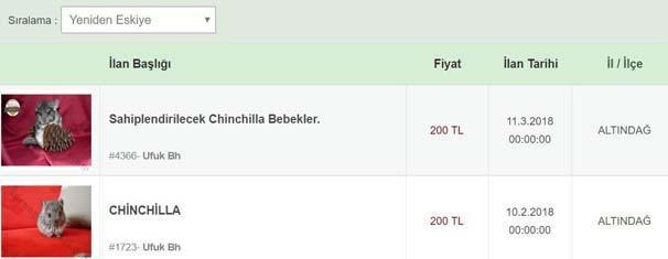 Nesli tükenme tehlikesi altındaki Çinçillaları satıyorlar