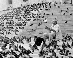 Fotoğraf beni tekrar hayata döndürdü