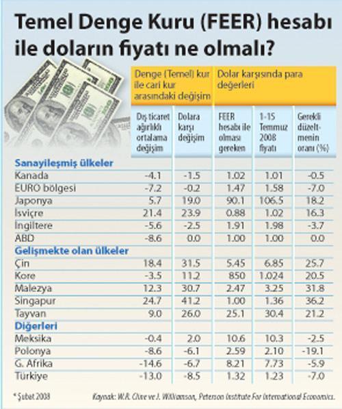 FEER hesabıyla dolar 1.32 YTL