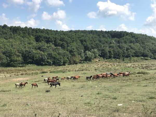 Bu köylere piyango vurdu Onay verildi buraya kuruluyor...