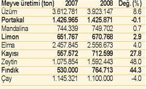 Meyve sektöründe artış sadece zeytin ve fındıkta