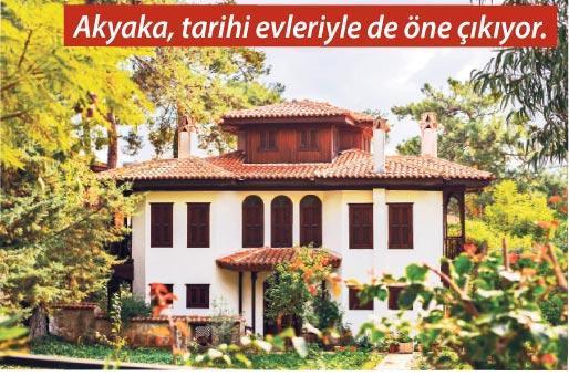 Güzelliği sakinliğinde gizli