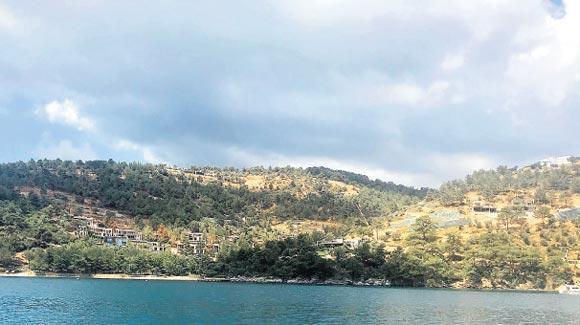 Bodrum’a özel ‘mesa doları’
