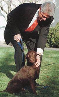 Başkanın bütün köpekleri