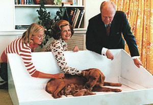 Başkanın bütün köpekleri
