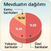 Dünyada bankalar sallanıyor, bizimkiler ise iyi durumda...