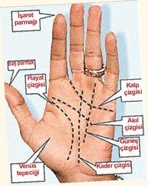 Neyse hali, çıktı falı