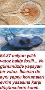 Sansürsüz ve peçesiz