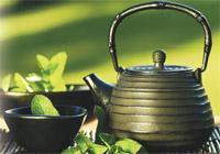 Çay hakkında her şey