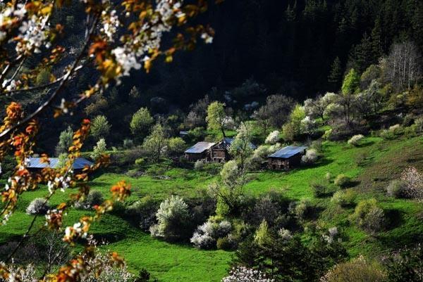 Son dakika: Ak Partili vekil duyurdu Onlar da İmar Barışı kapsamında...