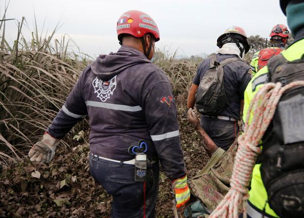 Cesetler yan yana dizildi
