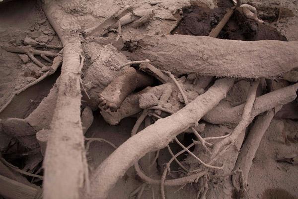 Cesetler yan yana dizildi