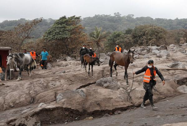 Cesetler yan yana dizildi