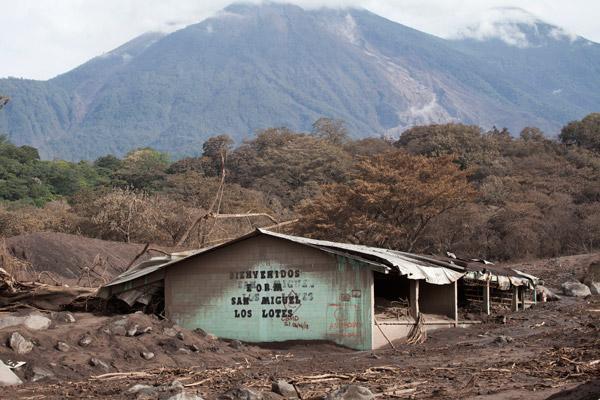 Cesetler yan yana dizildi