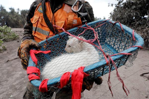 Haritadan sildi, uzaydan göründü