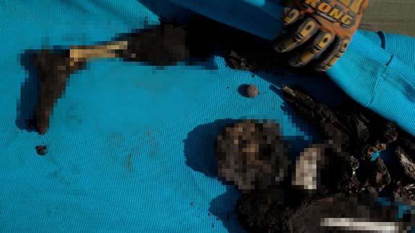 Fuego Yanardağındaki patlamalar sonrasın korkunç görüntüler