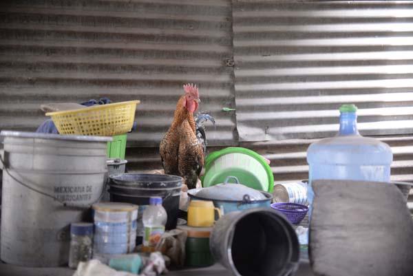 Korkunç fotoğraflar gelmeye devam ediyor