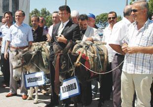 Memurlar ve eşekler