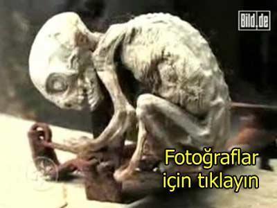 Yaratığın sırrı çözüldü