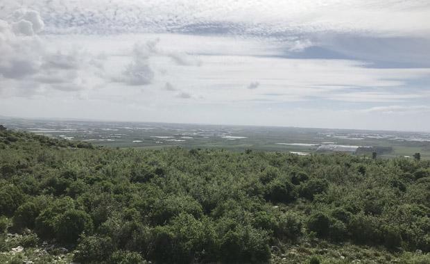 Sıtma Pınarı burada