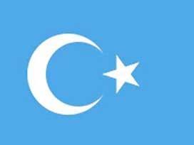 Atatürkün hayalindeki bayrak rengi