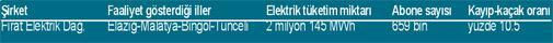 Elektrik dağıtım ihalesinde 4 bölgeye 1.5 milyar dolar geldi
