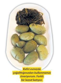 Yeşilyurt Köyü’nün asırlık çınarı…