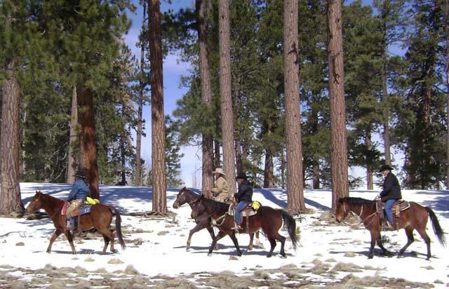 Kışın kayak imkanı...