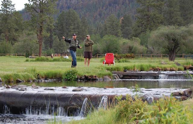 En yüksek beşinci yer