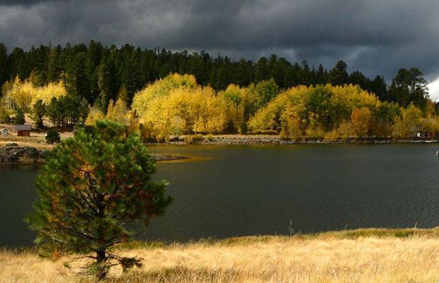 Doğanın tüm renkleri var...