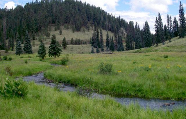 Amerikanın saklı cenneti Greer