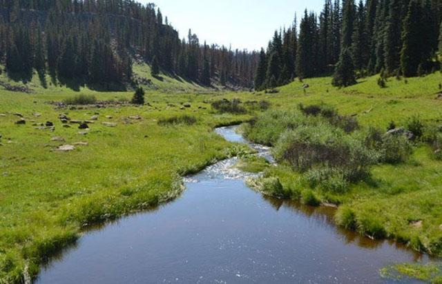 Amerikanın saklı cenneti Greer