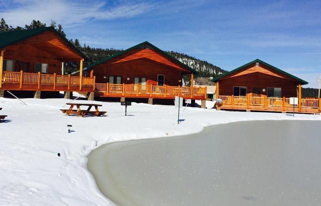 Amerikanın saklı cenneti Greer