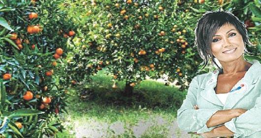 Serap Ezgü köye yerleşti