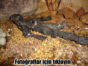 Çindeki Türk Piramitleri tarihi ezberi bozacak