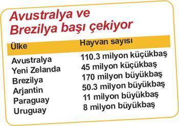 Dünyanın dört bir yanından et gelecek
