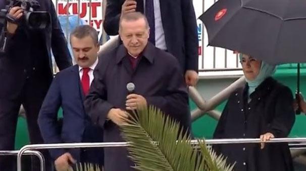 Cumhurbaşkanı Erdoğan açıkladı İşte tarihi manifesto