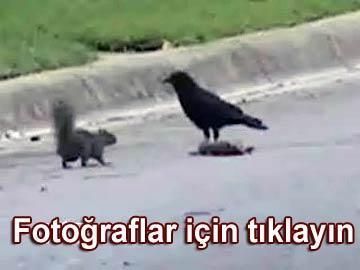 Arkadaşının ölüsünü böyle korudu