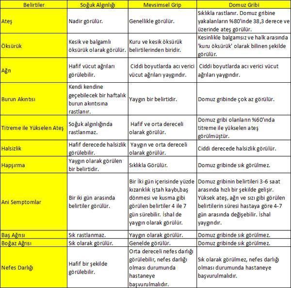 Domuz Gribi Hakkında Merak Edilenler