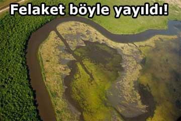 Okyanustaki felaket nehre ulaştı