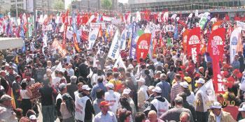 1  Mayıs çiçekleri
