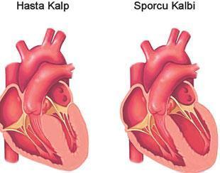 Spor kalbin verimini artırıyor